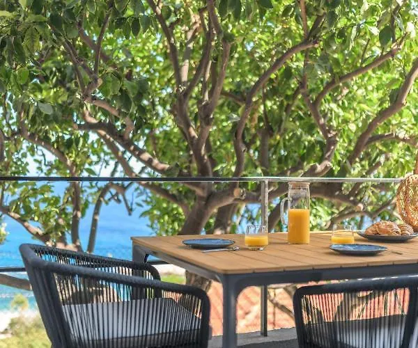 Proche Monaco, Vue Mer, Acces Et Jardin Privatif